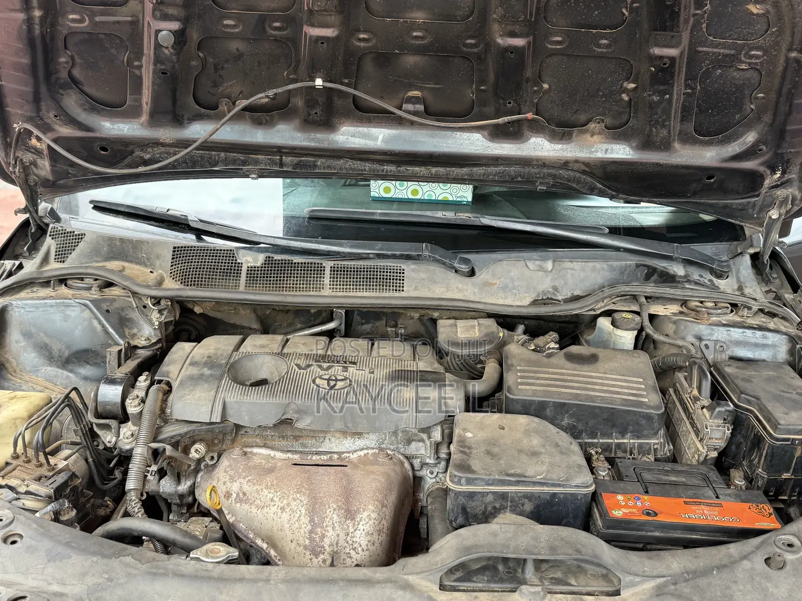 Toyota Venza XLE 2015