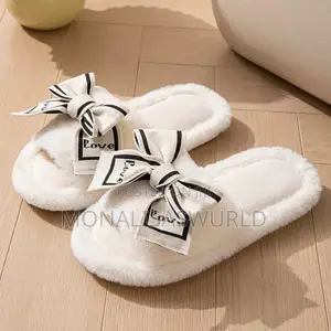 Indoor Cozy Slides