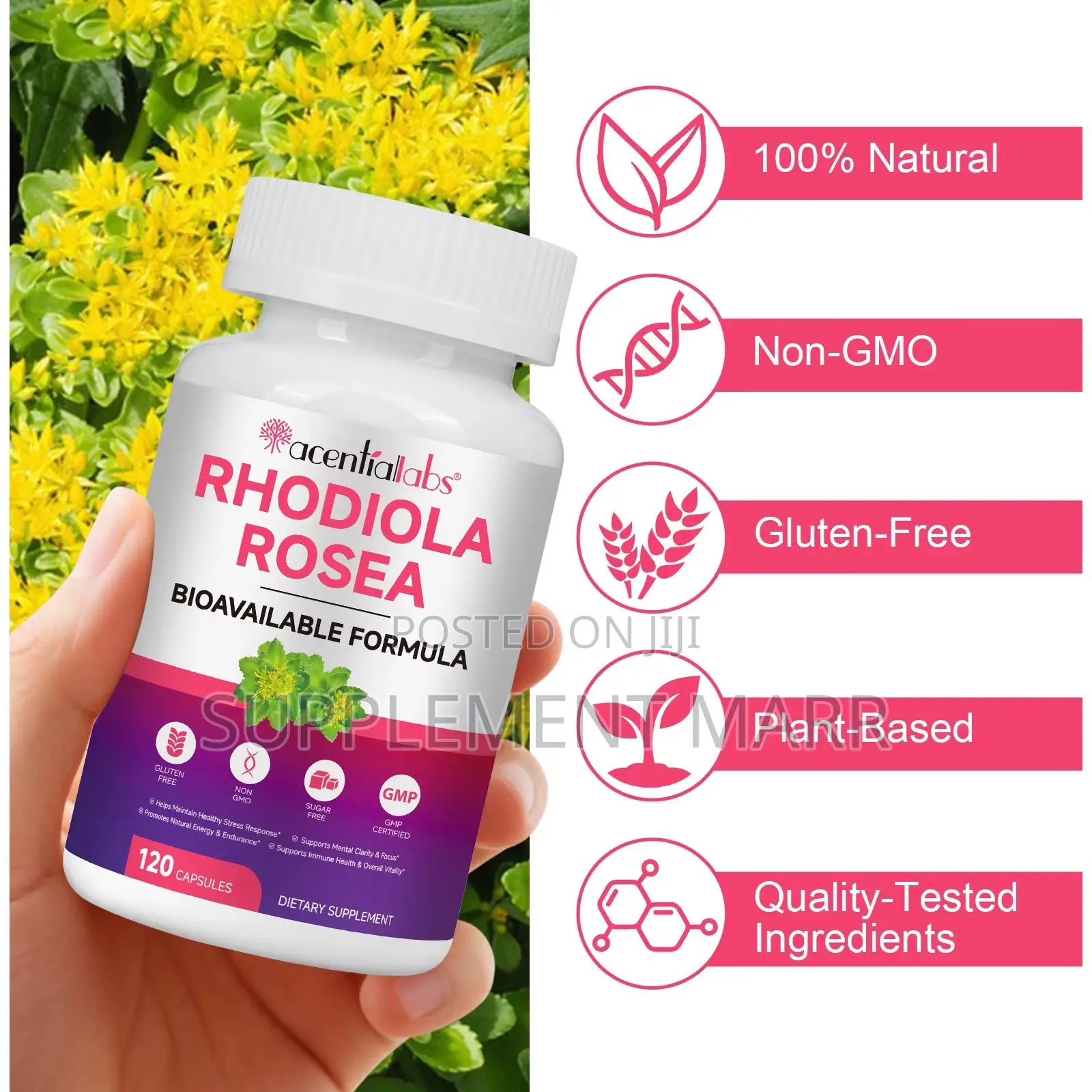 Rhodiola Rosea Bioavailable Formula X 120 Capsules