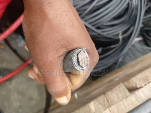 2.5mmx10core Control Cable Nigerchin