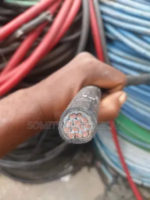 2.5mm Trial by 12core Cable
