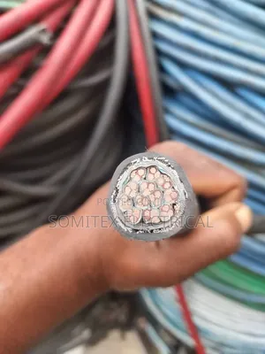 2.5mm Trial by 12core Cable