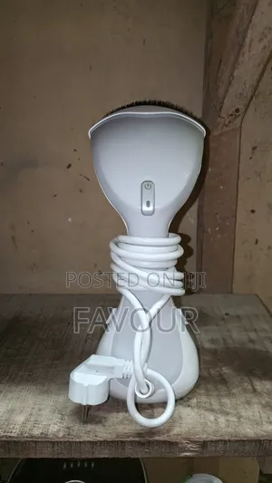 Garment Steamer/Steaming Iron 