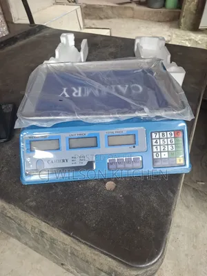 Digital 40kg Scale