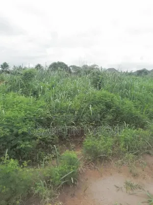 100 Feet by 200 Feet Land