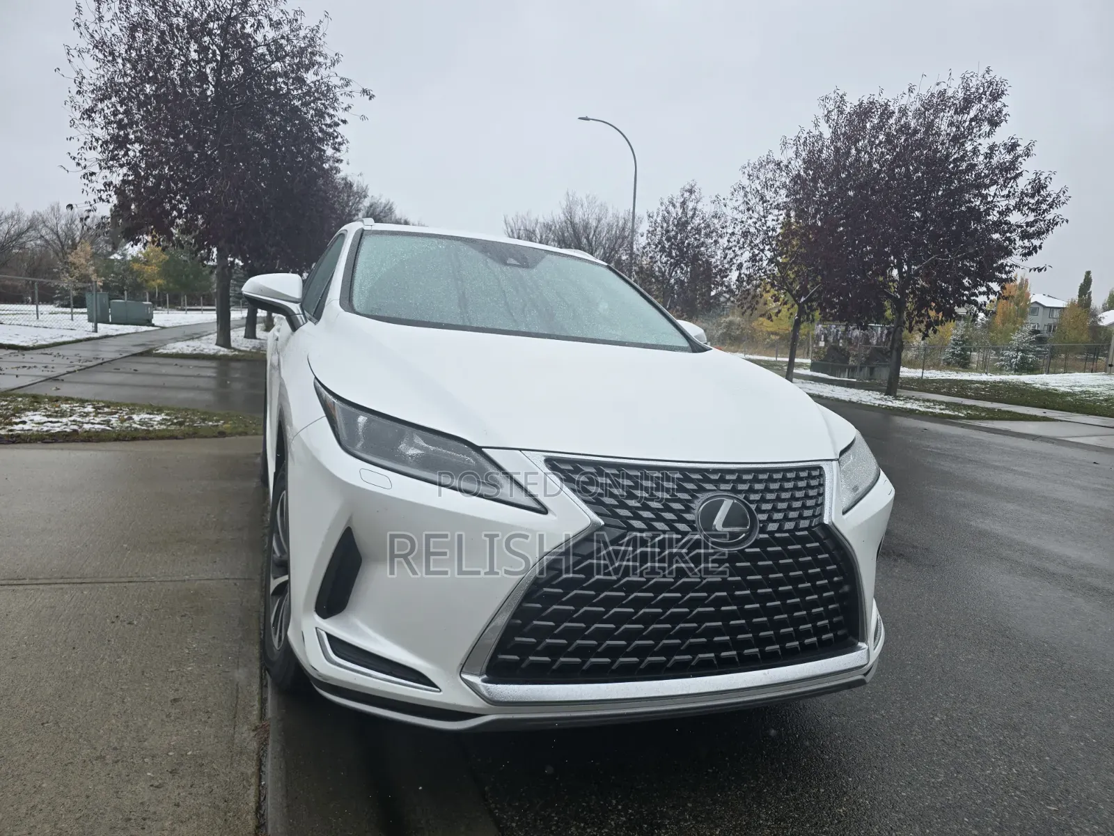 Lexus RX 2020 White