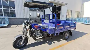 New Tricycle 2026 Blue