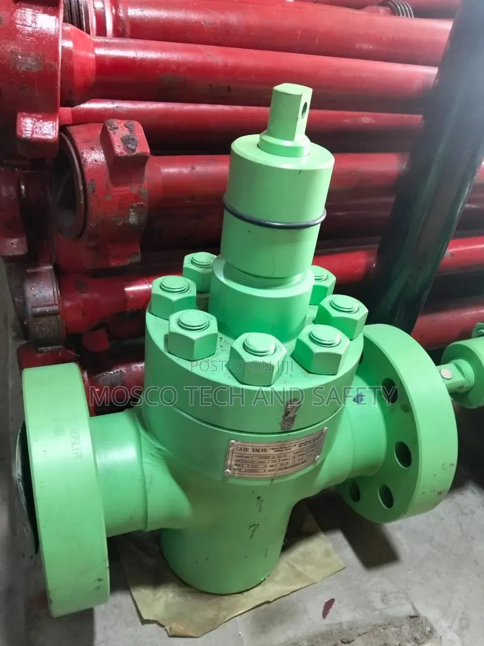Flanged Gate Valve (API 6A)