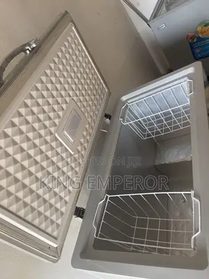 Skyrun Freezer for Sale in Good Condition