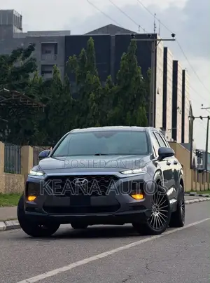 Hyundai Santa Fe 2019 Gray