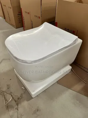 Morden White Wall_hung Toilet With Soft Close Seat