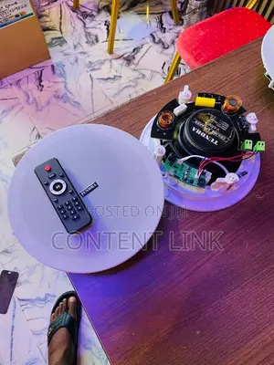 2in1 Bluetooth Ceiling Speakers With Remote