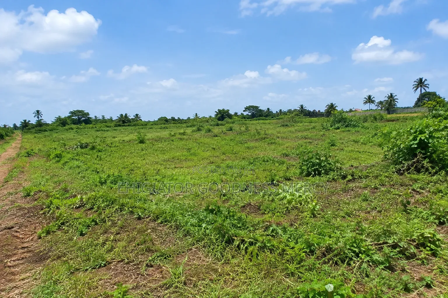 Land and Properties