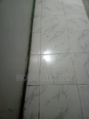 Cleaning Service