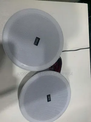 8 Inches Ceiling Speaker With Bluetooth