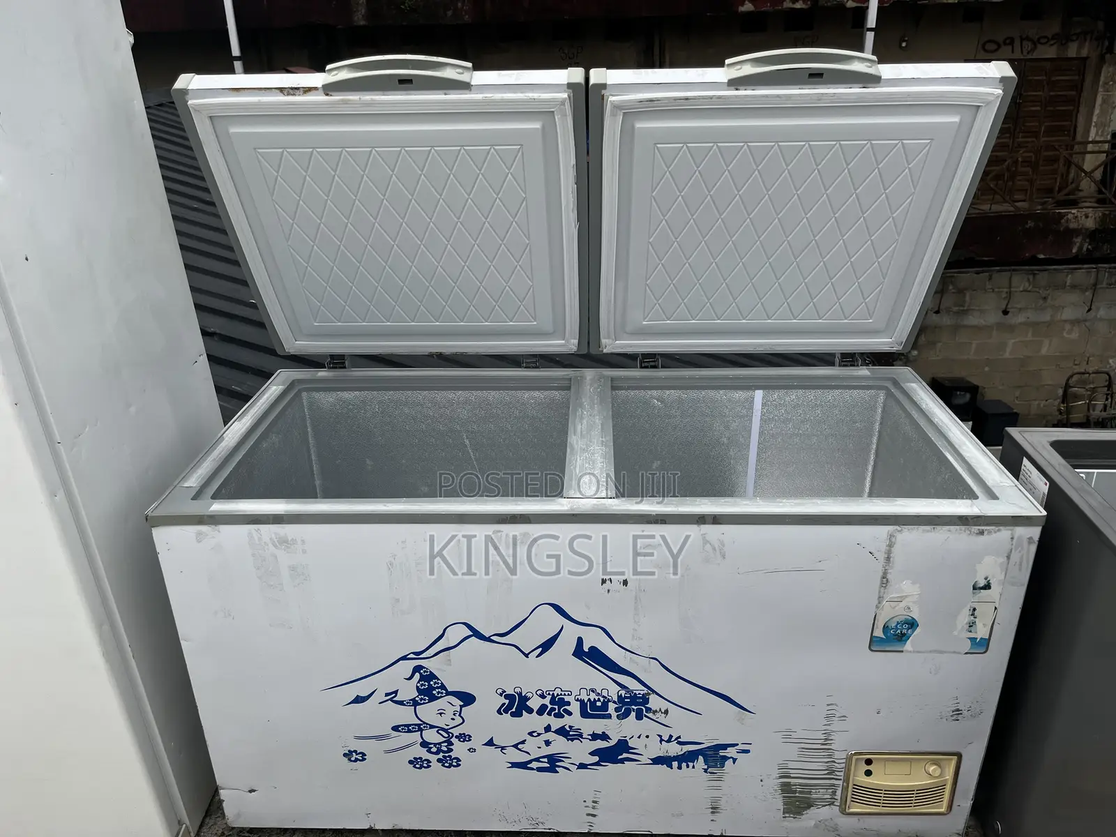 Mini Freezer