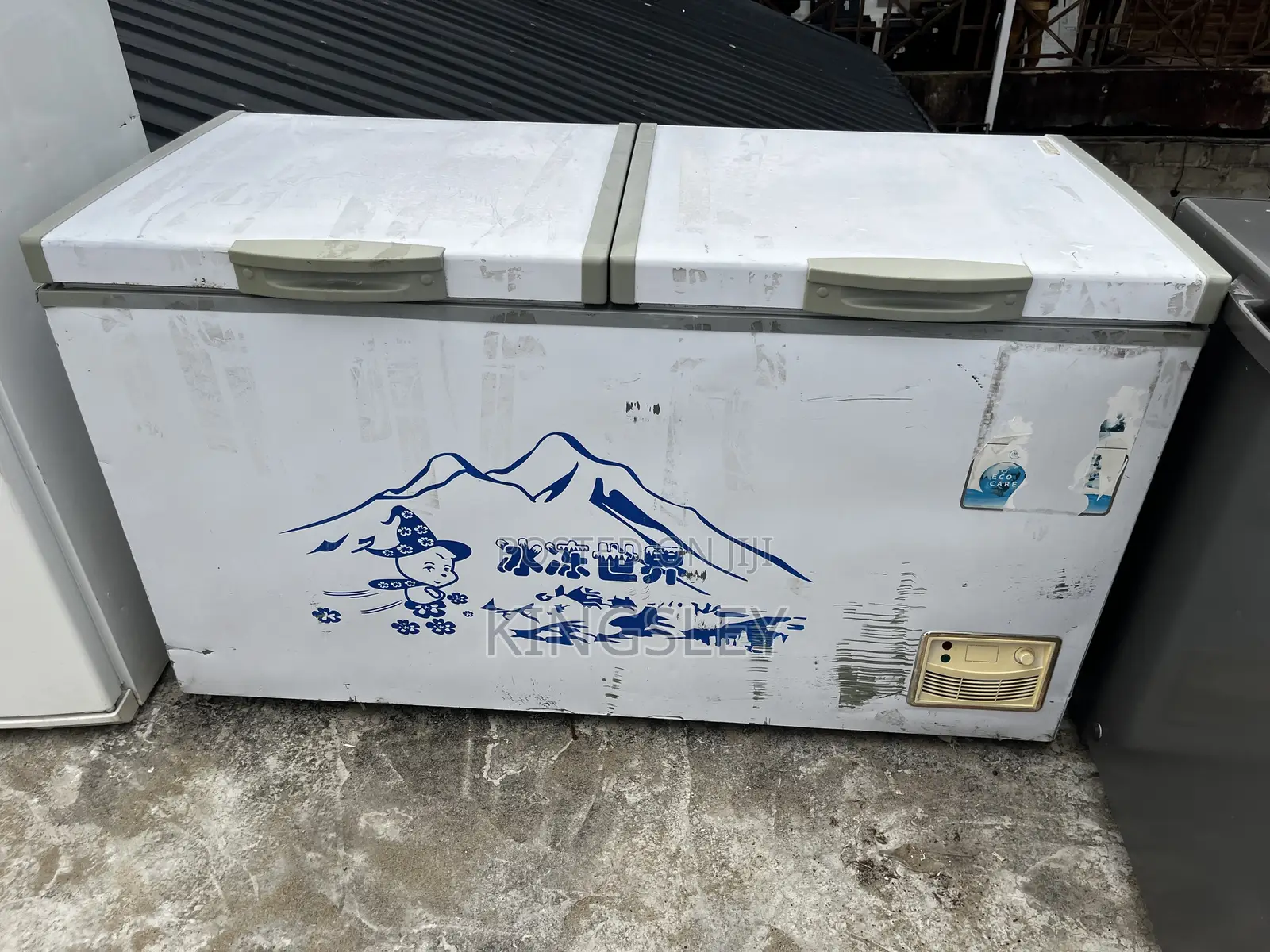 Mini Freezer