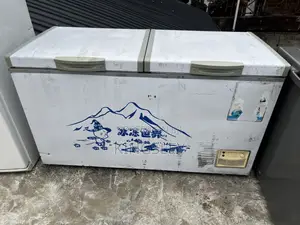 Mini Freezer