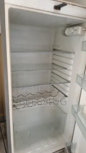 Thermocool Refrigerator With Double Door With Top Freezer