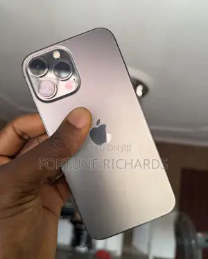 Apple iPhone 13 Pro Max 256 GB Gray