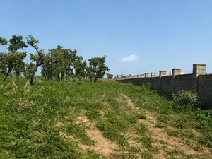 Comprehensive Land for Sale