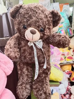 70cm Teddy Bear