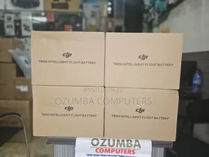 DJI TB100 Intelligent Flight Battery