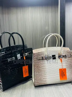 Croc Skin Birkins Bag (Big)