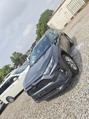 Toyota RAV4 XLE AWD 2024 Gray