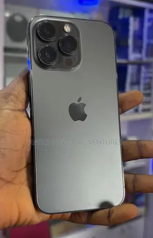 Apple iPhone 13 Pro 256 GB Gray
