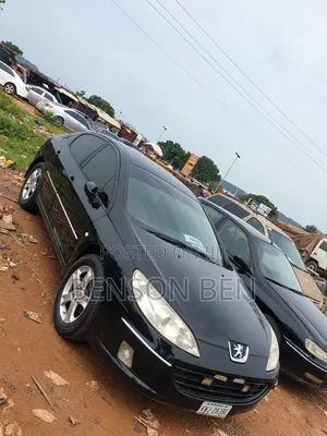 Peugeot 407 2009 Black