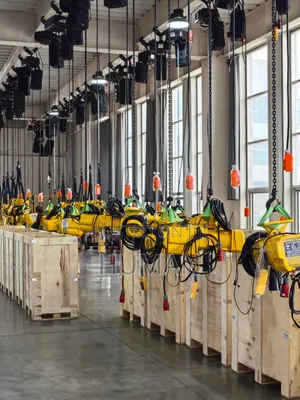 Electric Chain Block Warranty