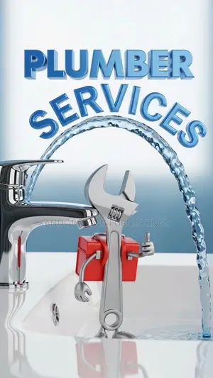 Plumbing Maintenance and I