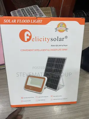 Felicity Flood Light