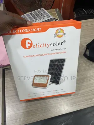Felicity Flood Light