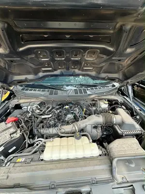 Ford F-150 2025 Blue