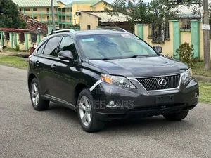 Lexus RX 2010 Gray