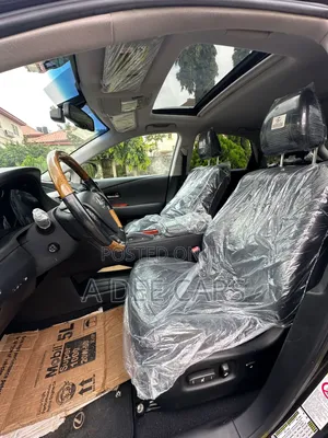 Lexus RX 2010 Gray