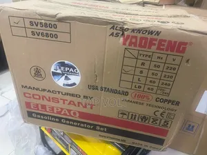 Elepaq Constant 3.5KVA Manual Start Power Generator