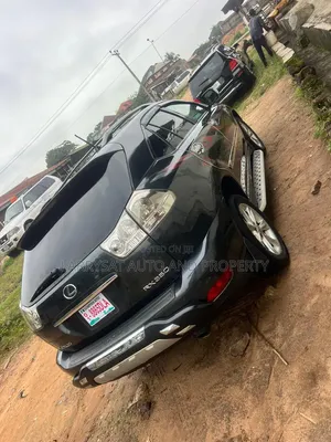 Lexus RX 2008 Gray