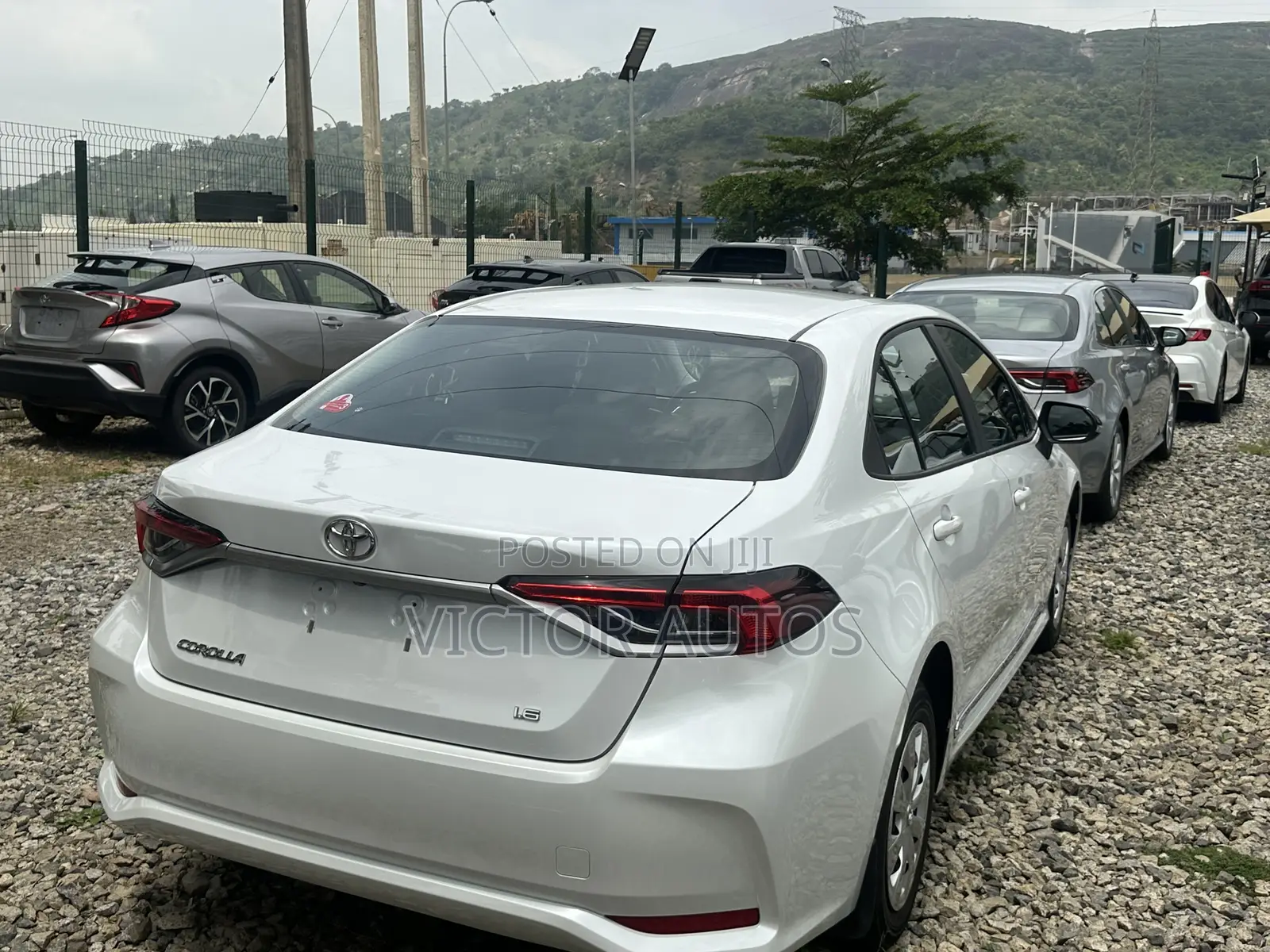 New Toyota Corolla 2025 White