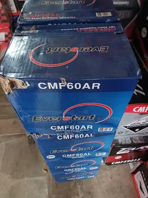 65Ahs Everstart Premium Battery