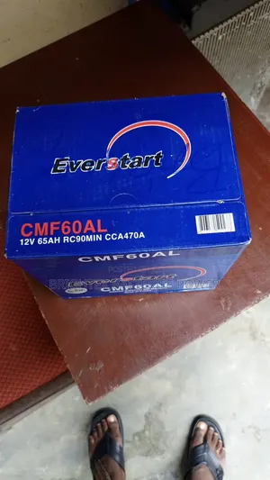 65Ahs Everstart Premium Battery