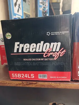 45Ahs Freedom Craft and Pioneer Battery