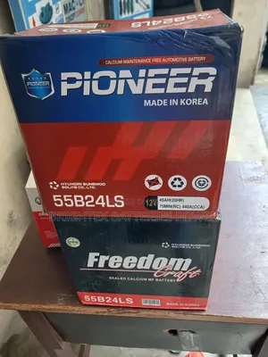45Ahs Freedom Craft and Pioneer Battery