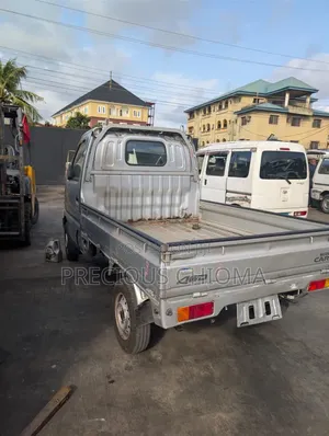 Suzuki APV Minibus 2009 Silver