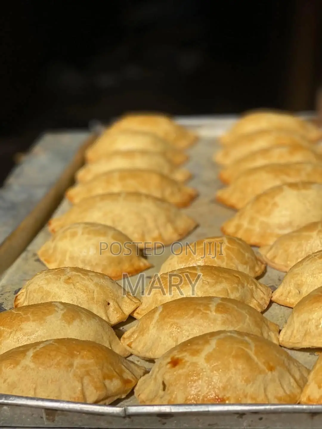 Flaky Meat Pie