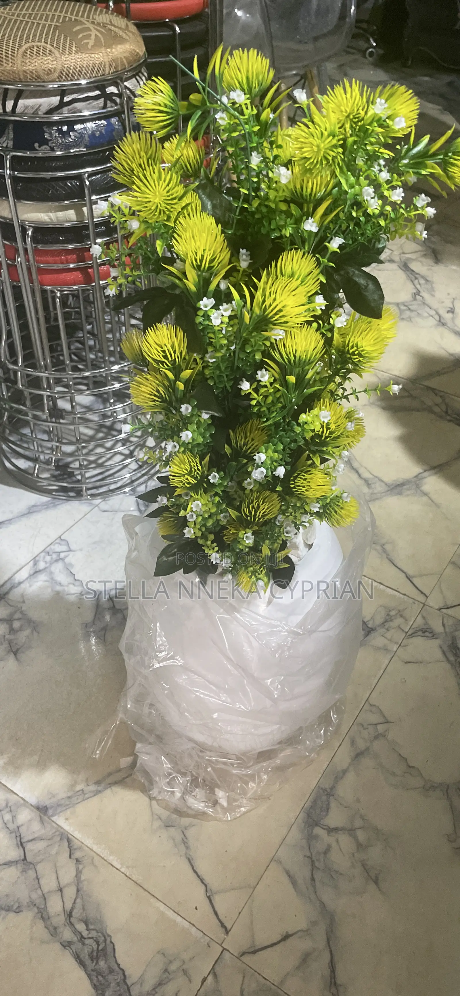 Flower Vase and Plant