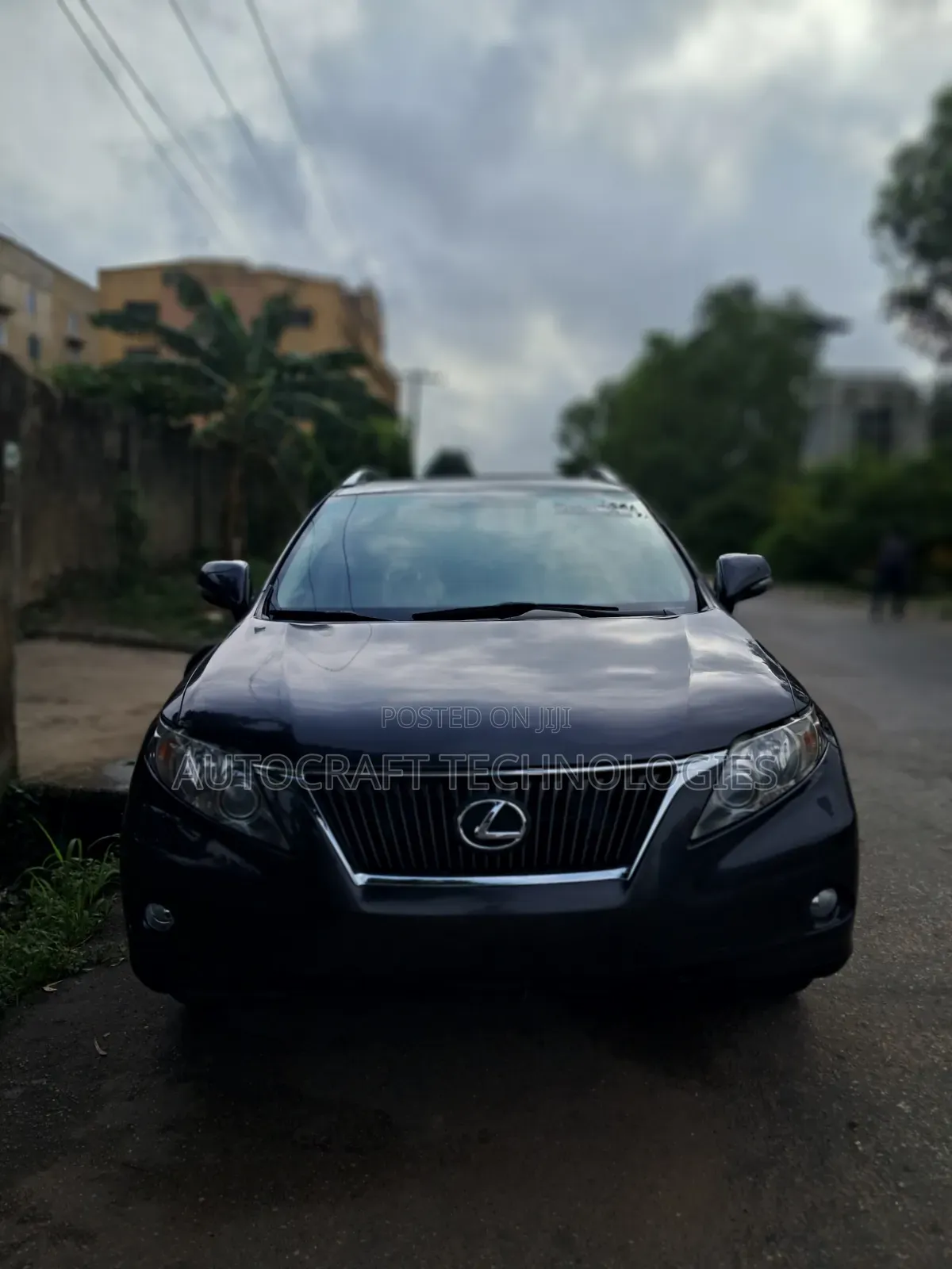 Lexus RX 2010 Gray