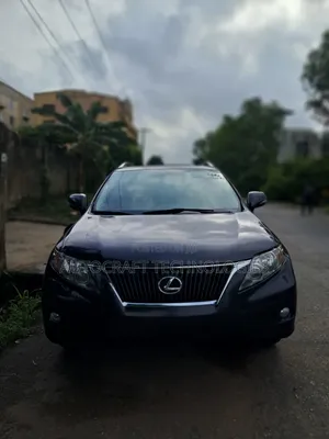 Lexus RX 2010 Gray